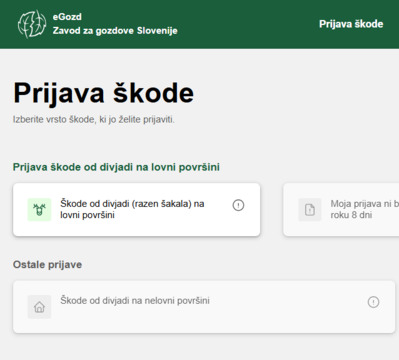 Vzorčna fotografija: Prijava škode