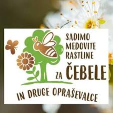 Sadimo medovite rastline 