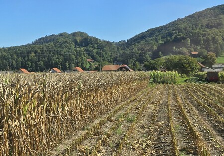Simbolična fotografija: Suša